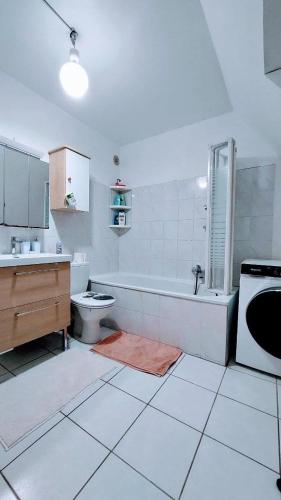 Grand duplex lumineux, calme, à 10mn de Strasbourg avec balcon et garage