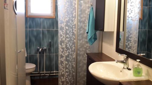 La salle de bains est pourvue d'un lavabo, de toilettes et d'une douche. dans l'établissement Kaijonselän mökit Pyhitty, à Vehmaskylä