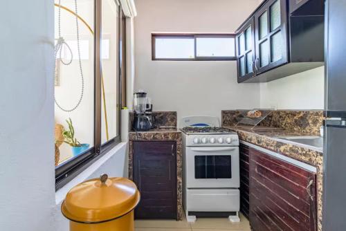 Kuchyň nebo kuchyňský kout v ubytování Apartamentos Colores