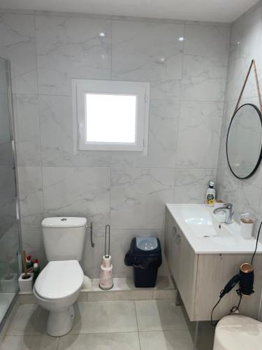 a bathroom with a toilet and a sink and a mirror at Villa Bellevue in Belley