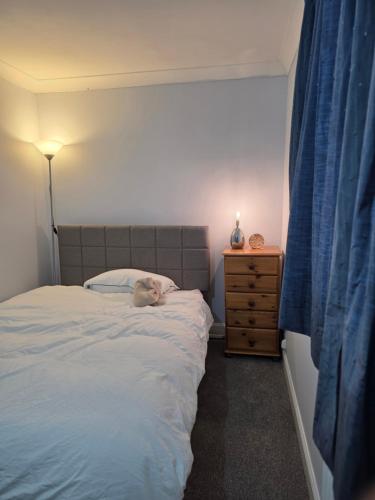 a dog laying on a bed in a bedroom at Colchester chill x1 in Hythe
