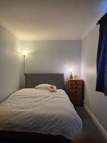 a bedroom with a bed with a dog laying on it at Colchester chill x1 in Hythe