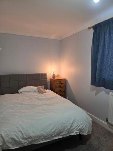 a bedroom with a bed and a blue curtain at Colchester chill x1 in Hythe