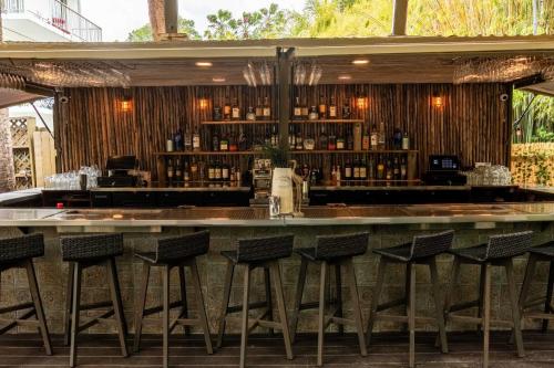 a bar with stools in front of a counter at Miami River Inn by Renzzi in Miami