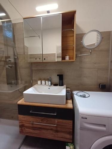 a bathroom with a white sink and a mirror at Nationalpark Apartment 2 in Apetlon