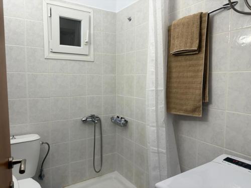 a bathroom with a shower and a toilet at Cosy Retreat in Komotini