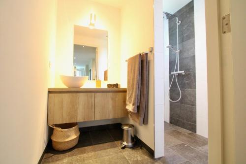 Koupelna v ubytování B&B Hoogh Belgeren