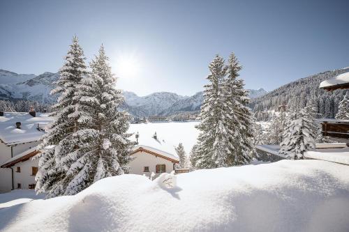 a house covered in snow next to trees and a lake at Rehwiesa A11 by Arosa Vacations, Direkt vor der Skipiste & mit Pool in Arosa