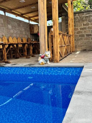 a stuffed animal sitting next to a swimming pool at Hachn House in Nor Hachyn