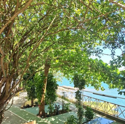 a view of the beach from a tree at Pousada Palladium in Neópolis