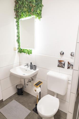 a bathroom with a white toilet and a sink at Stilvolles Apartment in Siegen in Siegen