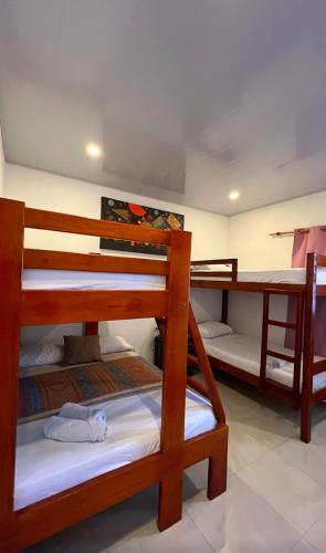 a room with three bunk beds in a room at Coffee House Minca in Minca