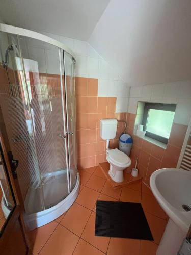 a bathroom with a shower and a toilet and a sink at Pensiunea Melli in Moieciu de Jos