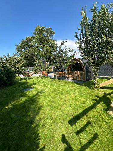 a green yard with a tree and a building at my-tinyhouse in Neuendorf-Sachsenbande