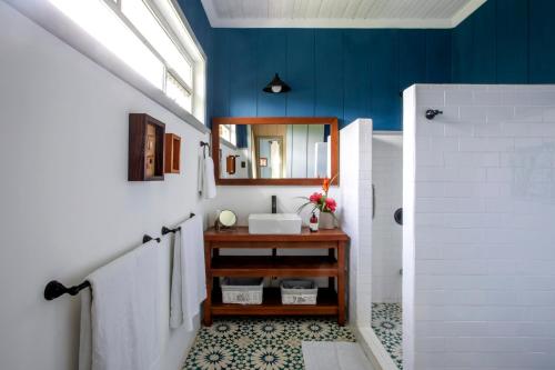 AQUIARES COFFEE FARM CASA HACIENDA LA ESPERANZA في توريالبا: حمام مزود بحوض ومِرآة