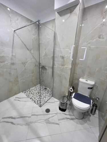 a bathroom with a shower and a toilet at Oscar’s Apartments Drymades in Dhërmi