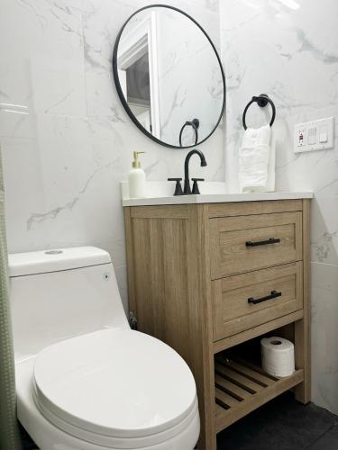 a bathroom with a toilet and a sink and a mirror at Cozy Retreat - Homes near Wesselman Park in Evansville