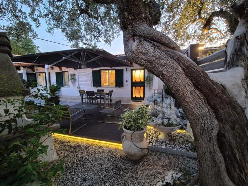 Lilli Home - Urban Garden