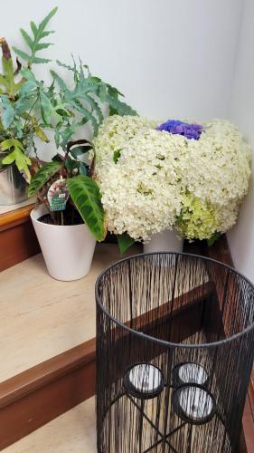 a vase filled with flowers on a table with plants at Biggy's Apartment in Selb