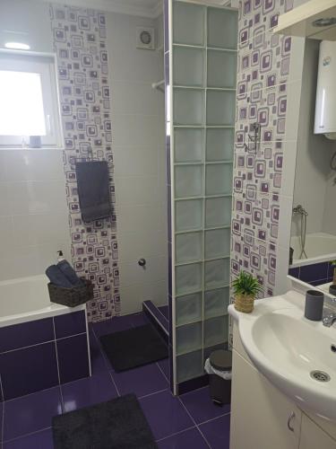a bathroom with a sink and a shower at Apartman Telep in Novi Sad