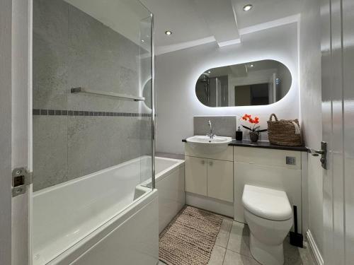 a bathroom with a toilet and a sink and a mirror at Central Bury Apartment with Private Entrance in Bury Saint Edmunds