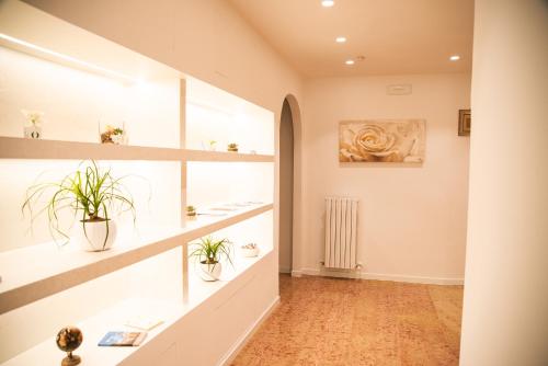 a room with shelves with plants in it at All'ombra del Duomo in Ascoli Piceno