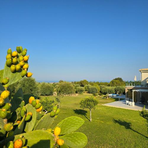 a view of a garden with trees and a building at I Secolari di Giulia in Avola