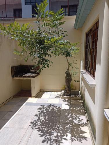 a courtyard with a tree on the side of a building at Alojamiento temporal - Alto Comedero in San Salvador de Jujuy