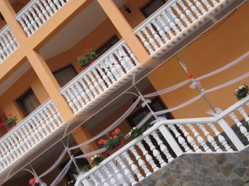 Billede fra billedgalleriet på Casa Roman i Statjunea Borsa