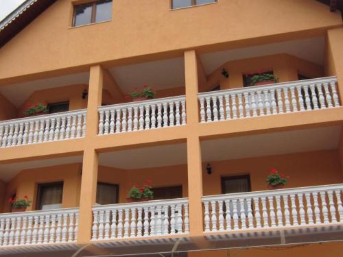 Billede fra billedgalleriet på Casa Roman i Statjunea Borsa