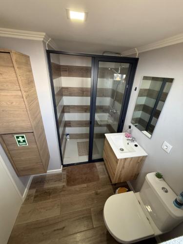 a bathroom with a toilet and a sink and a shower at Casa Camacho - Santa Cruz in Santa Cruz