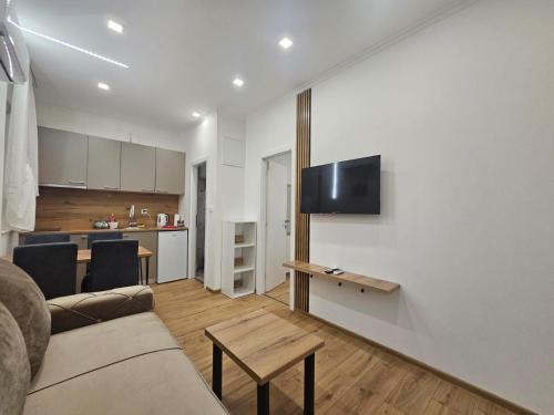 a living room with a couch and a tv on a wall at Apartments LAURA Medjugorje in Bijakovići