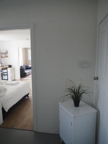a bedroom with a bed and a plant on a dresser at Bastu & backhouse in Bicheno