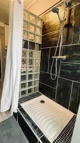 a bathroom with a shower with a toilet in it at Appartement 80m2 à deux pas du beffroi in Arras