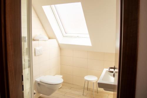a bathroom with a toilet and a sink and a skylight at Hotel Zum Bären in Münnerstadt