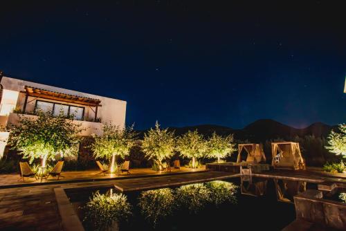 a building with trees and a pool at night at Hotel Flores de Sal-Valle de Guadalupe in Valle de Guadalupe