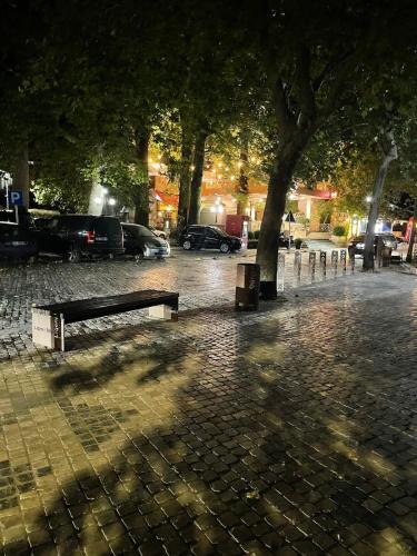 a park with two benches and a tree at night at Villa Balani in Široka