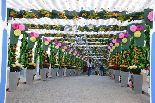 Foto Alojamento Campo Maior 6