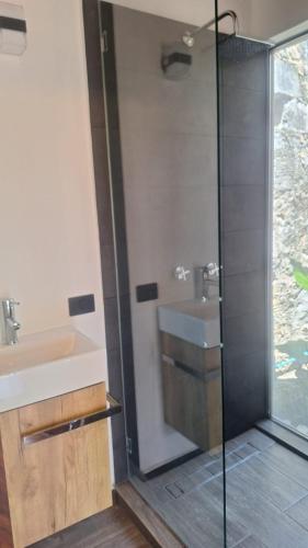 a bathroom with a sink and a glass shower at Román Cabañas del Mirador Cabaña 1 in Pahuatlán del Valle