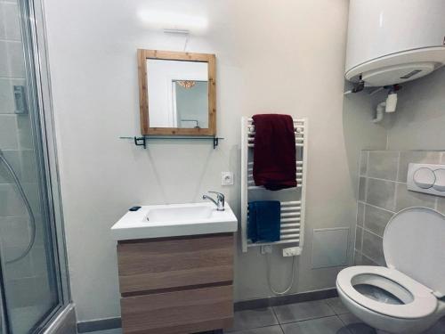 een badkamer met een wastafel, een toilet en een spiegel bij Dina chic calme cosy in Saint Etienne