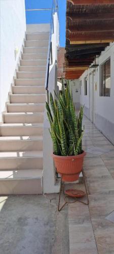 Φωτογραφία από το άλμπουμ του hotel paraaco σε Παράκας