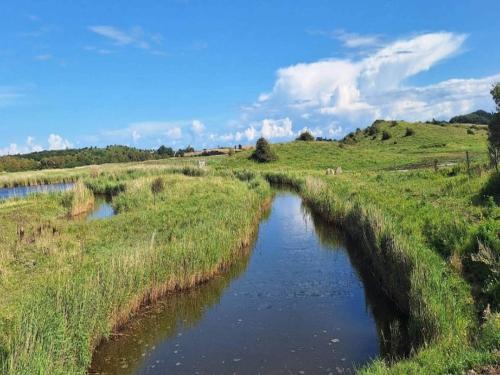 a small river in a field with grass at 4 person holiday home in Hals-By Traum in Hals