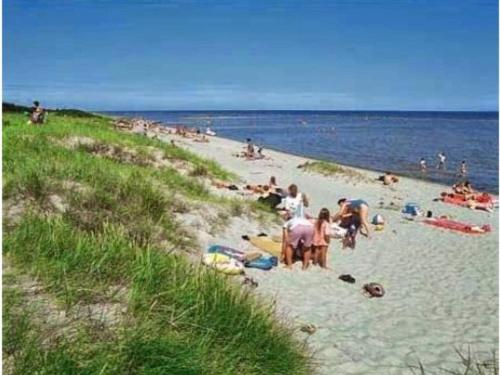 a group of people on a beach near the water at 4 person holiday home in Hals-By Traum in Hals