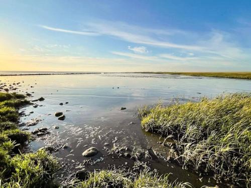 a large body of water with rocks and grass at 2 person holiday home in Højer in Højer