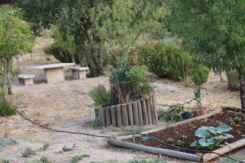 a garden with a bench and some plants at Quinta da Poipa in Celorico da Beira