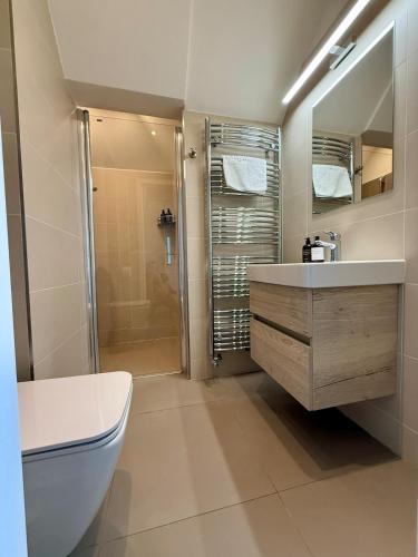 a bathroom with a toilet and a sink and a shower at Family Villa Hanspaulka in Prague
