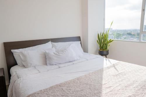 a bed with white sheets and a plant in a room at Gran Propiedad En Samborondon in SamborondÃ³n