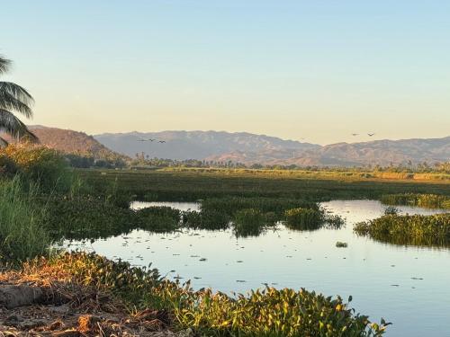 a body of water with birds flying over a field at Habitat in Barra de Navidad