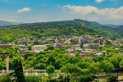 a view of a city with mountains in the background at Sheraton Grand Tbilisi Metechi Palace in Tbilisi City