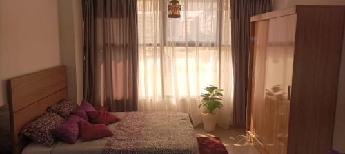 a bedroom with a bed with purple pillows and a window at Modern Studio in Kenitra Center Netflix & IPTV in Kenitra